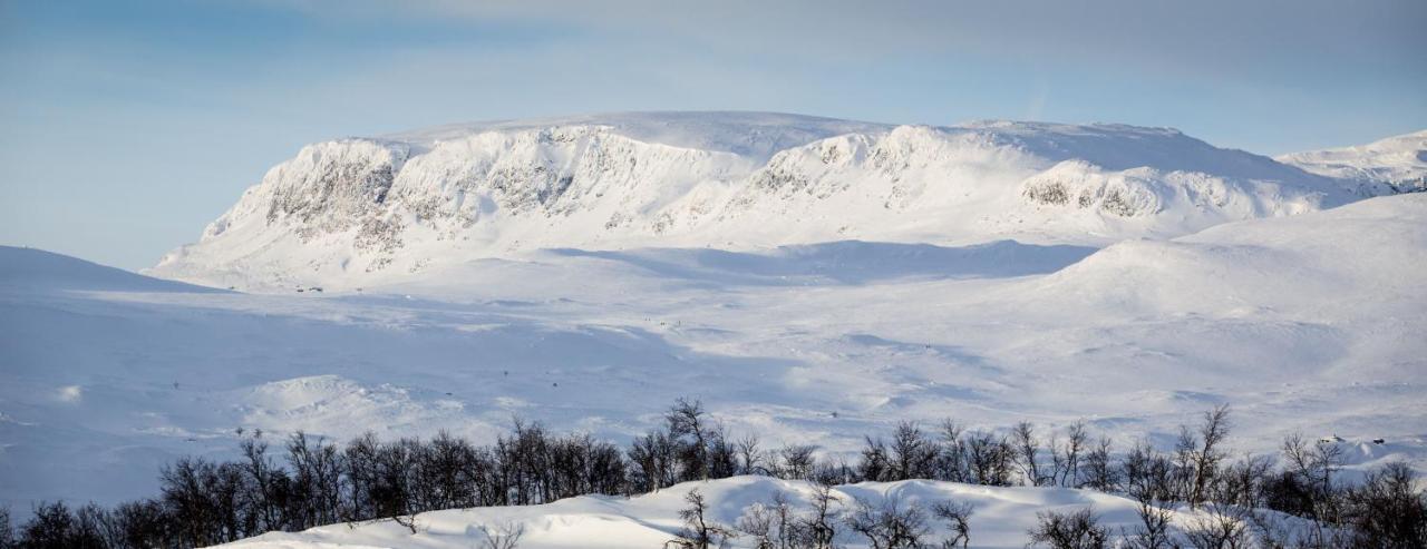 Kikut Alpin Lodge Ski In - Ski Out ไยโล ภายนอก รูปภาพ